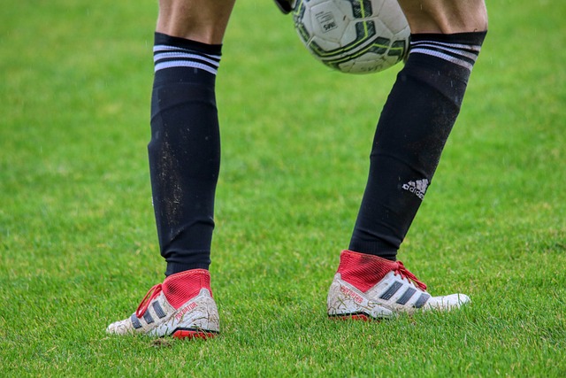 了各隊在國 了各隊在國