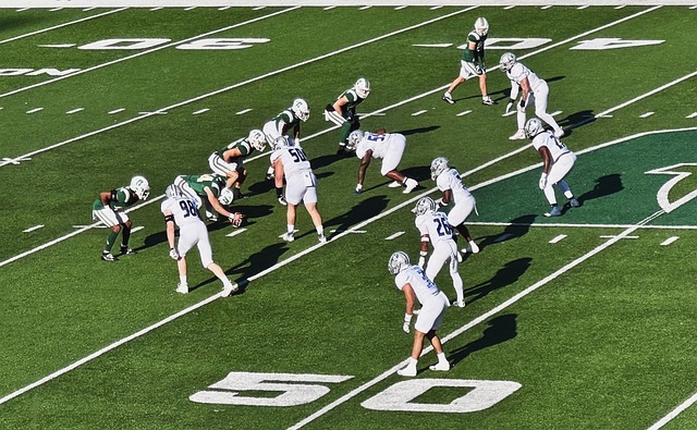 這一事實 這一事實