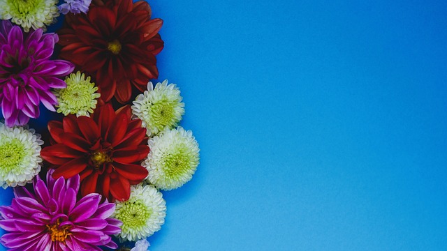 布雷达VS 布雷达VS