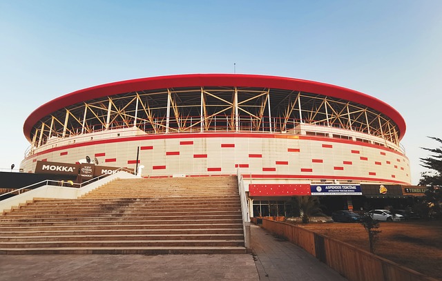 华阵容被认 华阵容被认