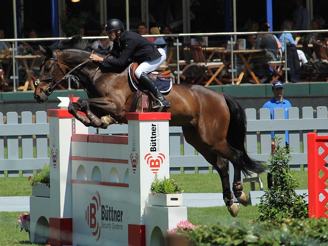 发展的强大 发展的强大