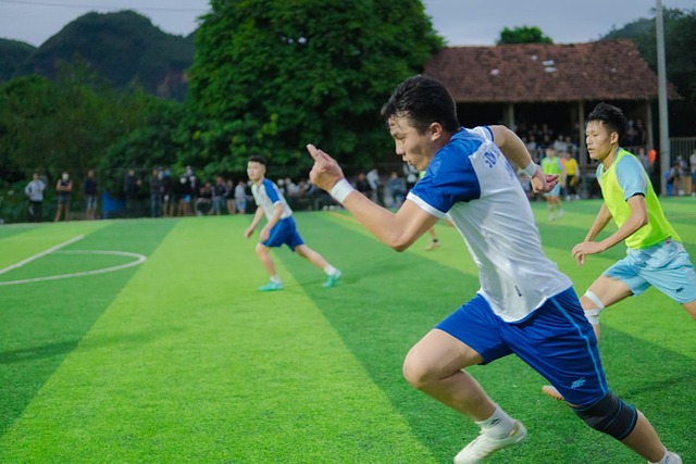 综合以上比 综合以上比