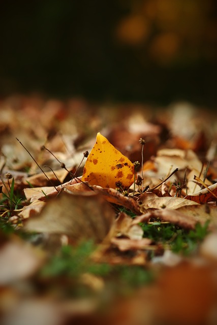 突破困境 突破困境