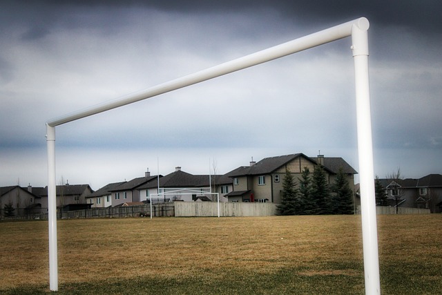 邹雨宸的得 邹雨宸的得
