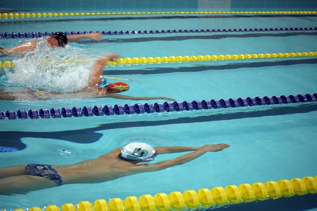 引入这位挪 引入这位挪