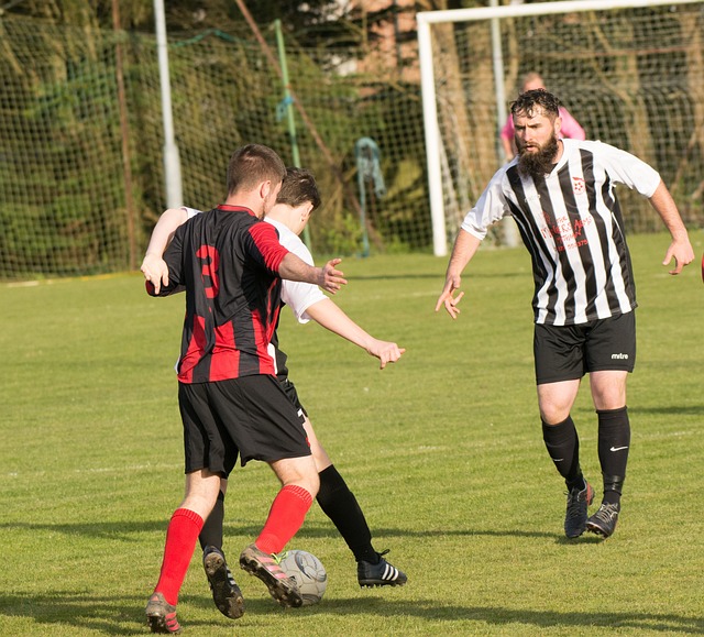 布莱顿虽败 布莱顿虽败